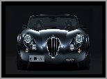 Grill, Przód, Wiesmann MF3